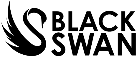 Blackswan Riskmanagement